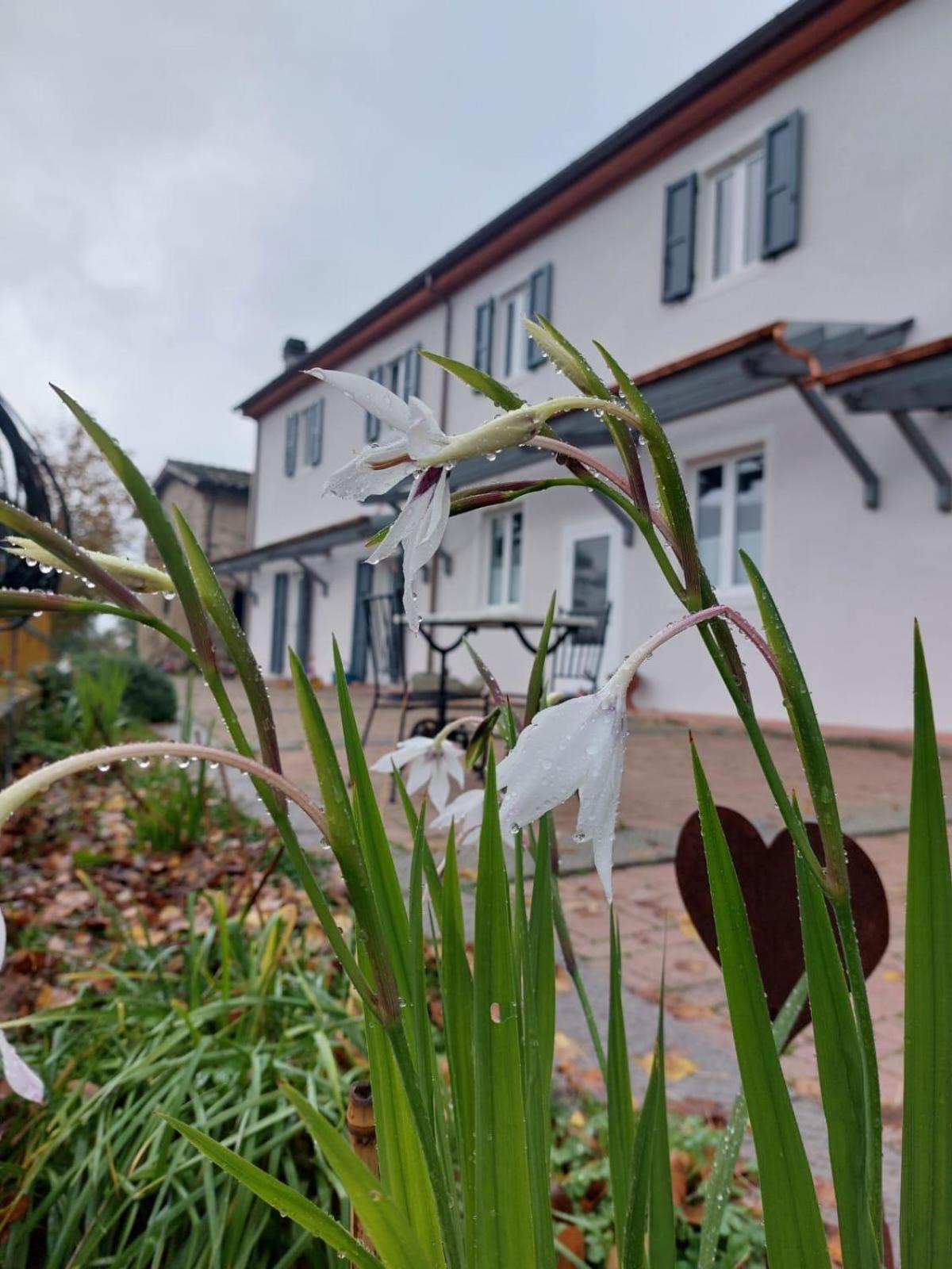 Apartamento La Casa Del Tiglio Borgo San Lorenzo